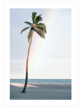 La Palmera - Art Print